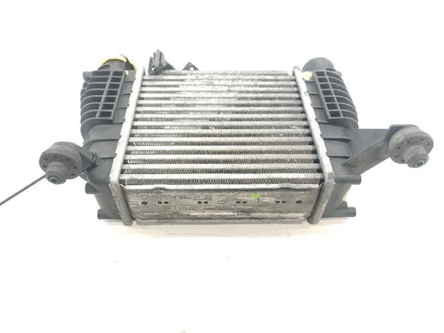 NISSAN 144619U20A Интеркулер в наличии Ужгород