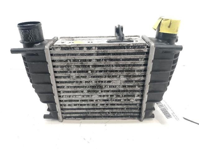 NISSAN 144619U20A Интеркулер в наличии Житомир