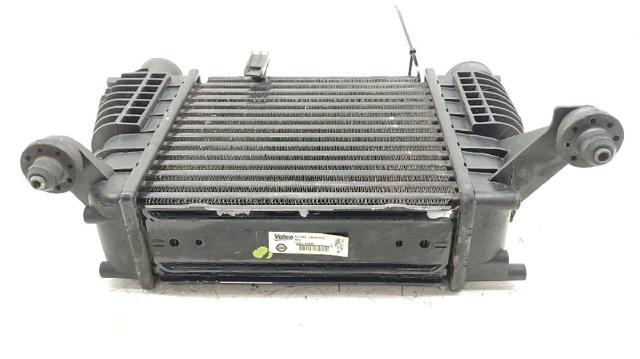 NISSAN 144619U20A Радиатор интеркуллера в наличии Хмельницкий