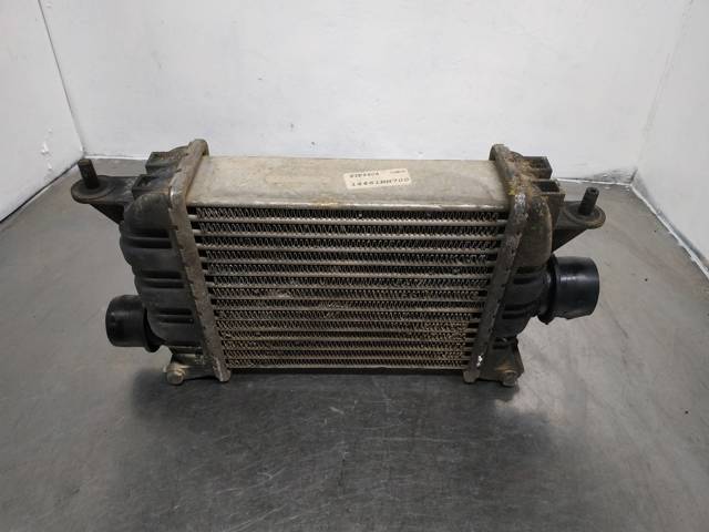14461BN700 NISSAN купить в Черновцы