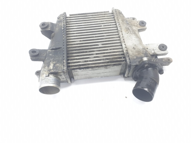 Radiador de intercooler Nissan Terrano 2 R20