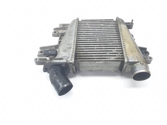 Radiador de intercooler Nissan Terrano 2 R20