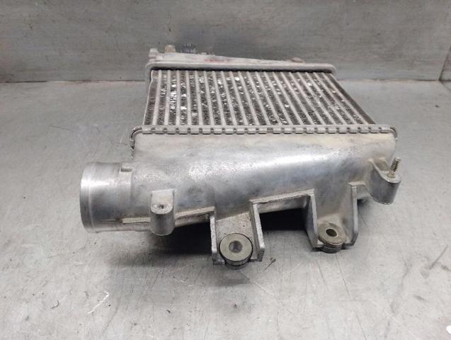 Radiador de intercooler Nissan Terrano 2 R20