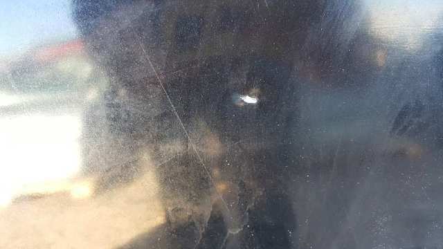 1446443 Дверь задняя правая купить Киев