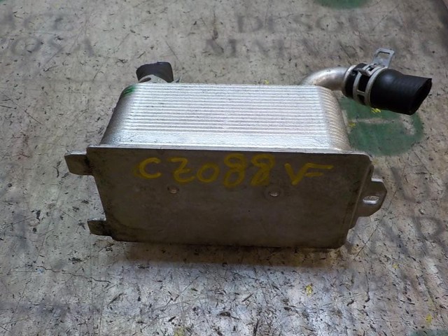 1446535 FORD Радиатор масляный купить в Сумы