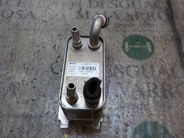1446535 FORD Радиатор масляный купить в Сумы