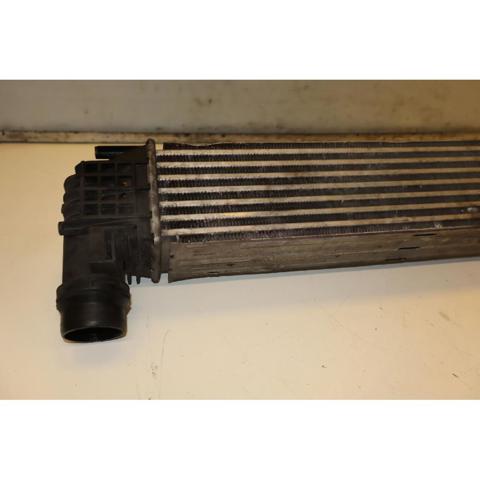 144960023R RENAULT Радиатор интеркуллера купить в Винница