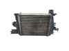 Radiador de intercooler 144961381R RENAULT
