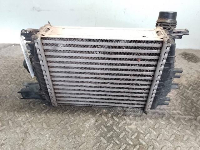 RENAULT 144961381R Интеркулер в наличии Черкассы