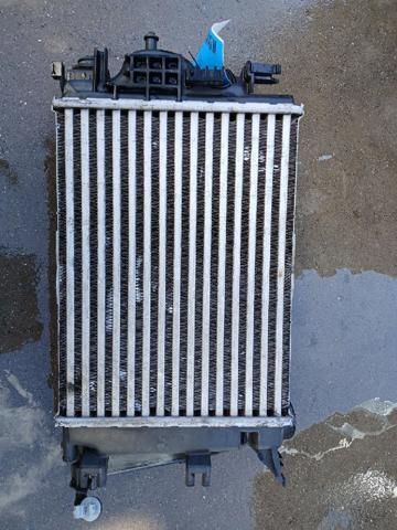 RENAULT 144963358R Радиатор интеркуллера в наличии Днепр