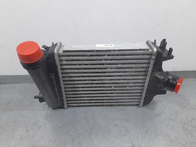 RENAULT 144966668R Радиатор интеркуллера в наличии Сумы
