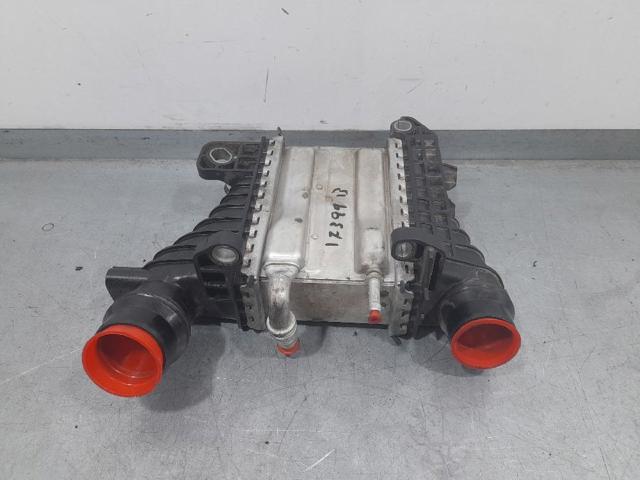 RENAULT 144967867R Радиатор интеркуллера в наличии Сумы
