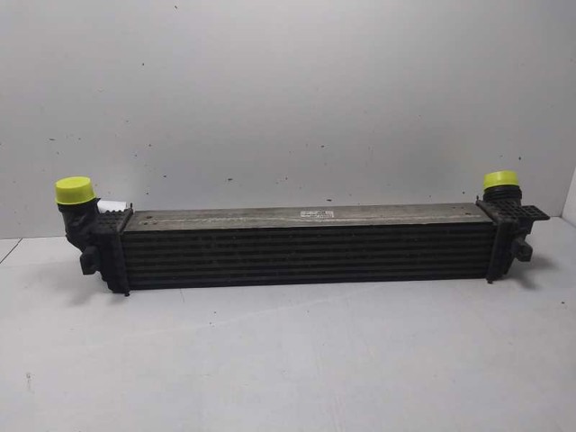 RENAULT 144969568R Интеркулер в наличии Черновцы
