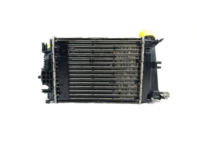 RENAULT 144969690R Интеркулер в наличии Ирпень