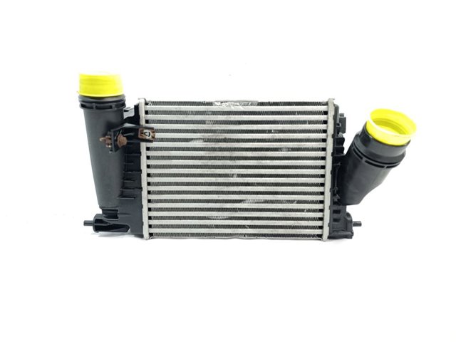 144969690R RENAULT Радиатор интеркуллера купить в Николаев