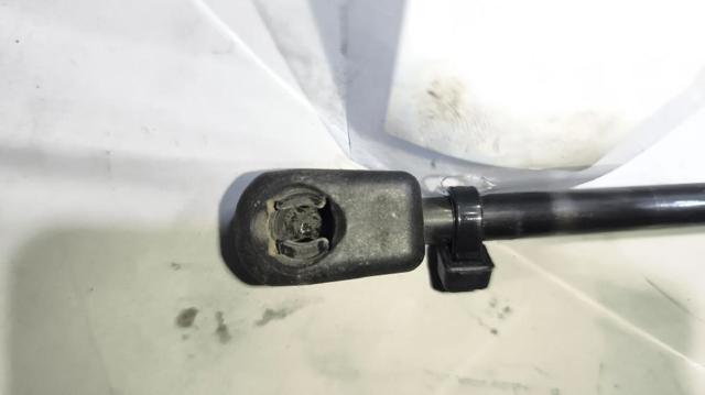1451195 DAF Амортизатор капота купить в Кривой Рог