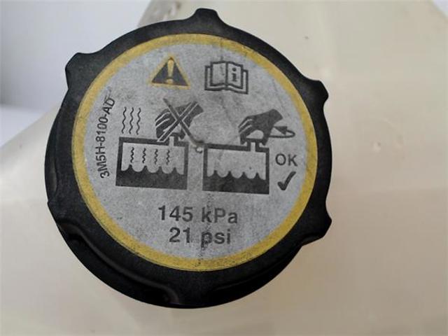 FORD 1513111 Бачок системы охлаждения в наличии Полтава