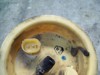 16116768788 BMW