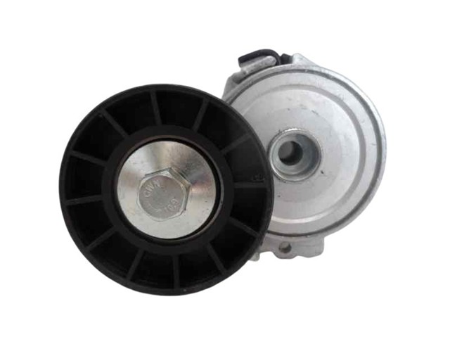 Reguladora de tensão da correia de transmissão 1613839980 PEUGEOT