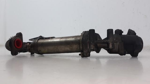 PEUGEOT 1618N6 Клапан EGR рециркуляции газов в наличии Чернигов