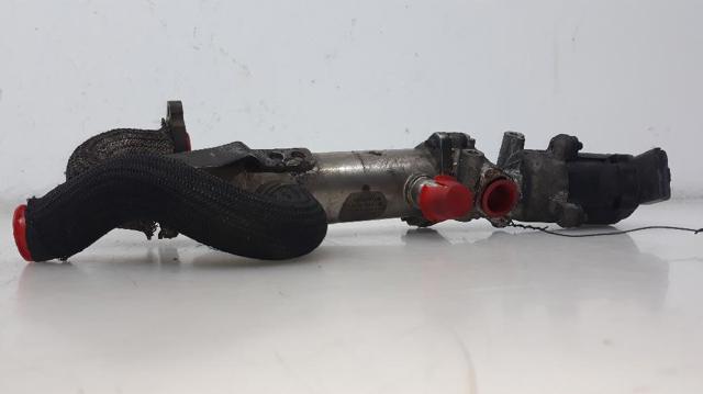 1618N6 PEUGEOT Клапан EGR рециркуляции газов купить в Украина