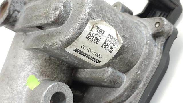 161A09794R NISSAN Дроссельная заслонка в сборе купить в Запорожье