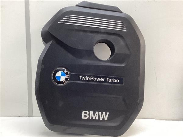 BMW 16208310 в наличии Днепр