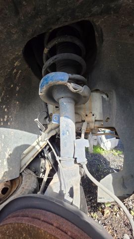 1683578 FORD Амортизатор передний правый купить в Ровно
