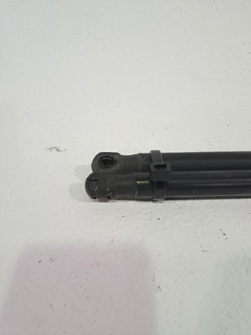 1683725 FORD Амортизатор крышки багажника (двери 3/5-й задней) купить в Запорожье