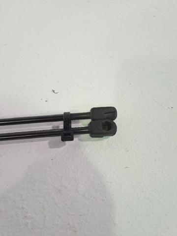 1683725 FORD Амортизатор багажника купить в Днепр