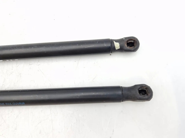 1684275 FORD Амортизатор крышки багажника (двери 3/5-й задней) купить в Днепр