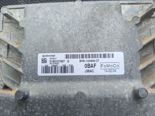 FORD 1706429 в наличии Ирпень