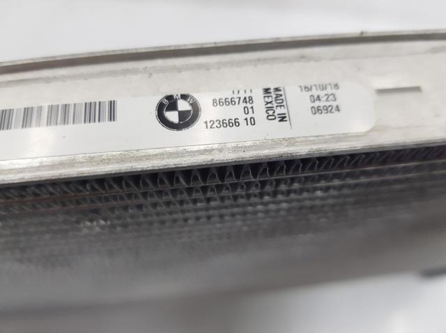 17118666748 BMW