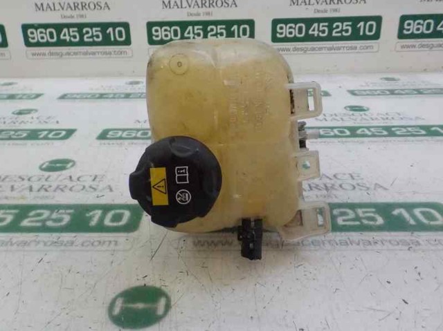 Tanque de expansão do sistema de esfriamento 17137539267 BMW