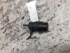 Bomba de motor de fluido para lavador de vidro dianteiro 171955651 VAG