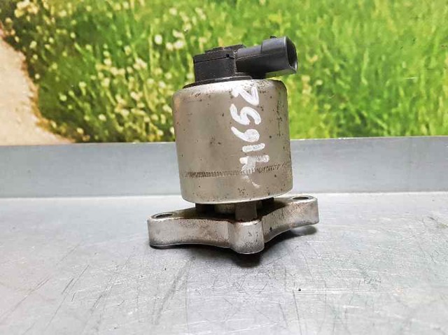 OPEL 17200272 Клапан ЕГР в наличии Тернополь