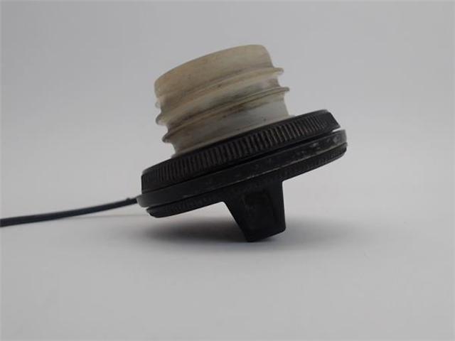 1725179970 NISSAN Крышка бензобака купить в Киев