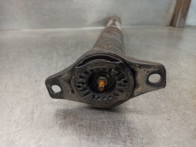 1746172 FORD Амортизатор задний купить в Ужгород