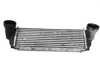 Radiador de intercooler 17517533475 BMW