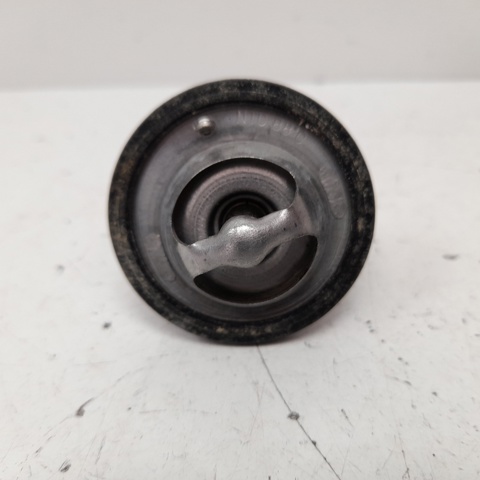 Termostato 1767050G10000 SUZUKI