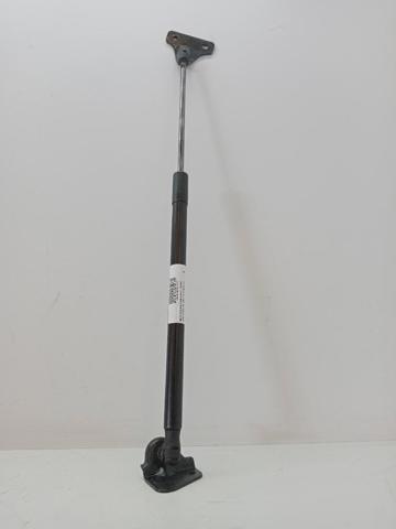 1848164 FORD Амортизатор крышки багажника (двери 3/5-й задней) купить в Ужгород