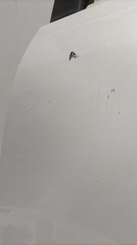 Motor montado Toyota Land Cruiser J10