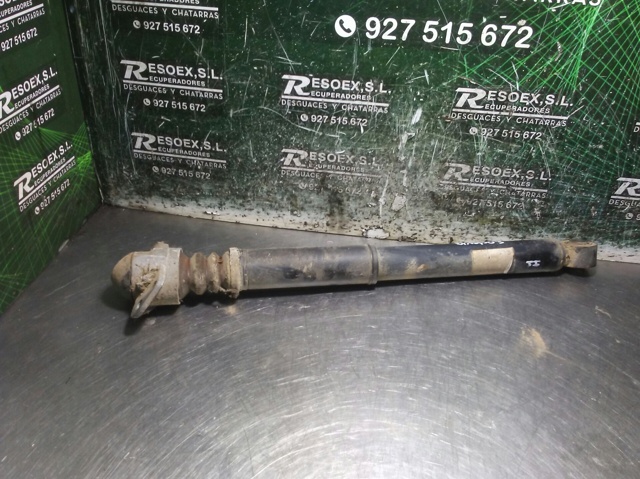 Amortecedor traseiro 1K0513029EN VAG