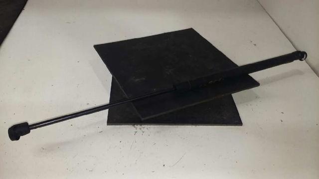 Amortecedor da capota 1M0823359A VAG