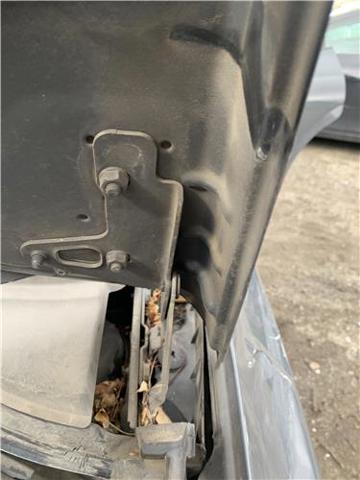 VAG 1P0823301 Петля капота левая в наличии Павлоград