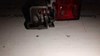 Sinal de parada traseiro adicional 1S7113A613AE FORD