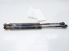 Amortecedor de tampa de porta-malas (de 3ª/5ª porta traseira) 1S71F406A10AB FORD