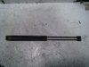 Amortecedor de tampa de porta-malas (de 3ª/5ª porta traseira) 1S71F406A10AB FORD