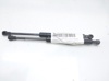Amortecedor de tampa de porta-malas (de 3ª/5ª porta traseira) 1S71F406A10AB FORD