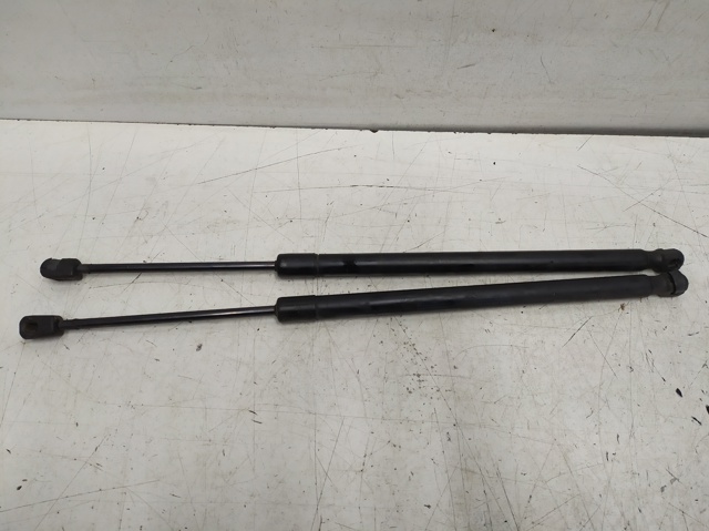 Amortecedor de tampa de porta-malas (de 3ª/5ª porta traseira) 1T0827550C VAG